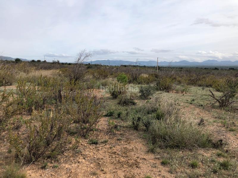 Foto 886372ba-dd24-4ab1-965b-eb7e3b360b05. Landgut in partida alborada 1 in Valls