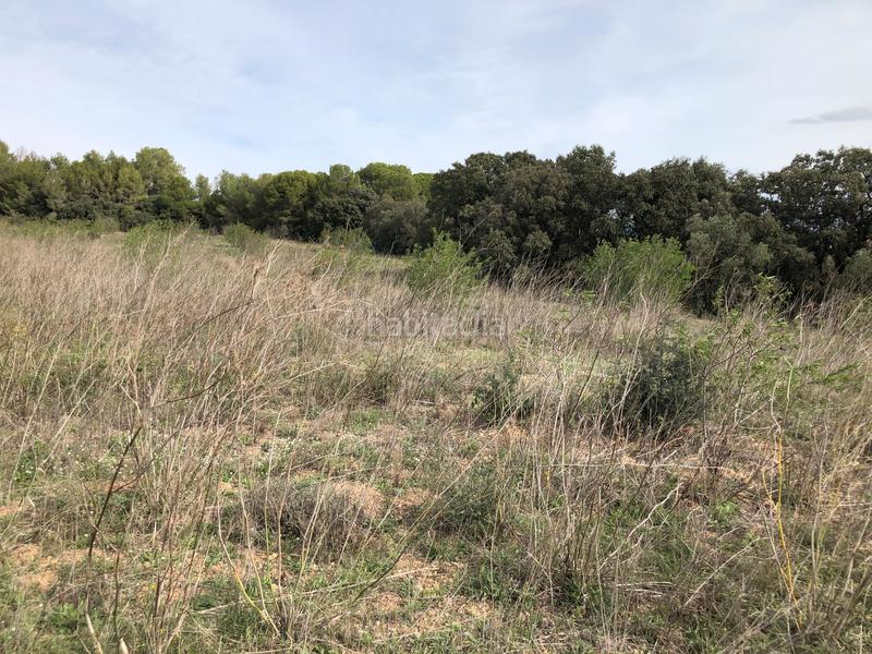 Foto a2603361-a34b-44b9-ad0c-3094c3065234. Landgut in partida alborada 1 in Valls