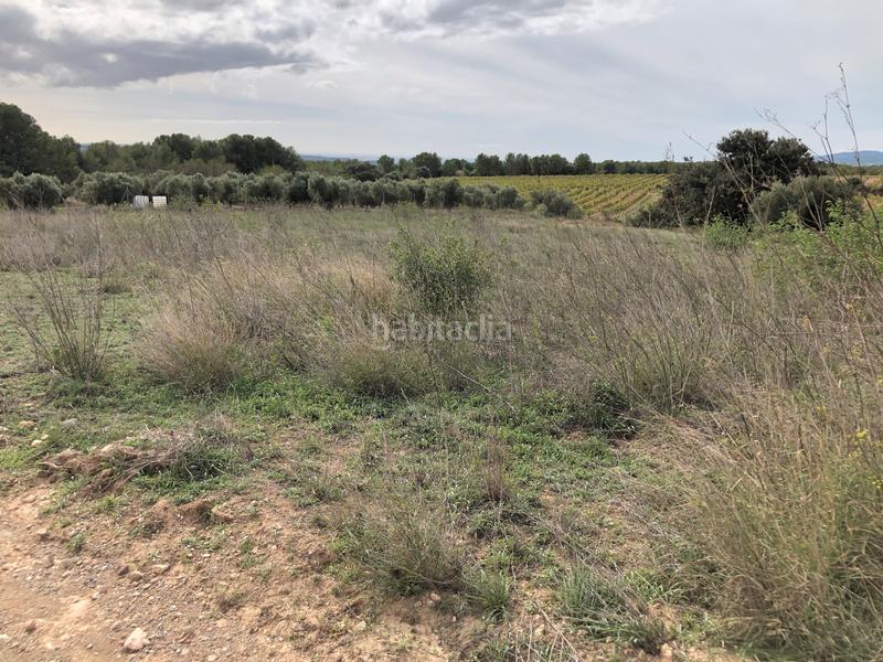 Foto b01ae7db-89ed-4d58-afbd-c534e562b24c. Landgut in partida alborada 1 in Valls