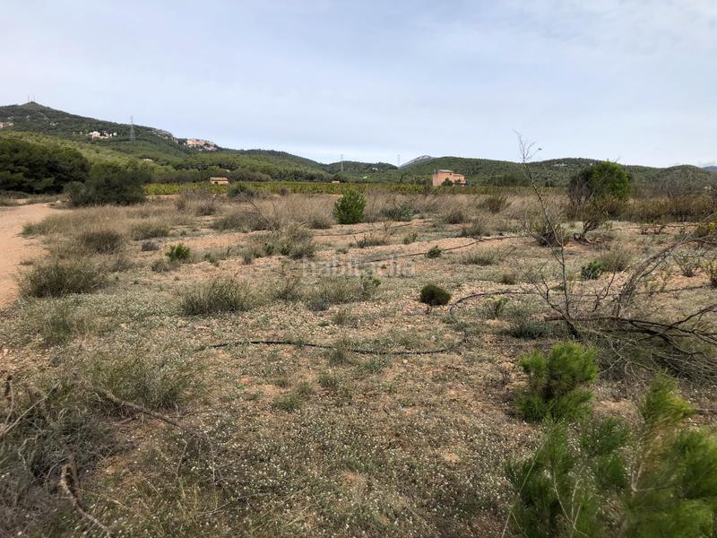 Foto cbfd1006-04e3-46a2-ba7f-20182fbaa42f. Landgut in partida alborada 1 in Valls