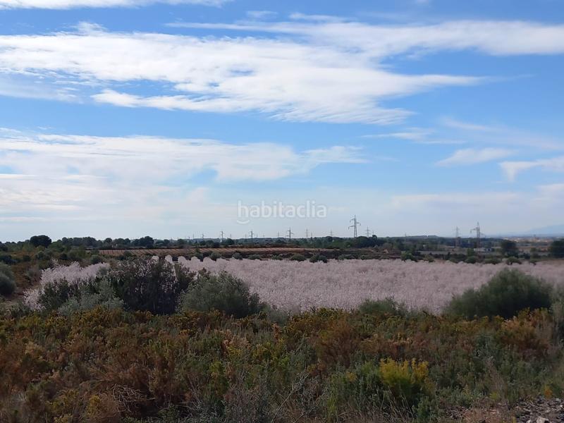 Foto 1ca56837-cf60-499a-a341-c4b760b77044. Finca rústica a plaça dels arbres 10 a Vila-rodona