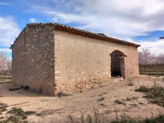 Finca rústica a Plaça dels arbres 10. Finca rustica 14 ha regadio.