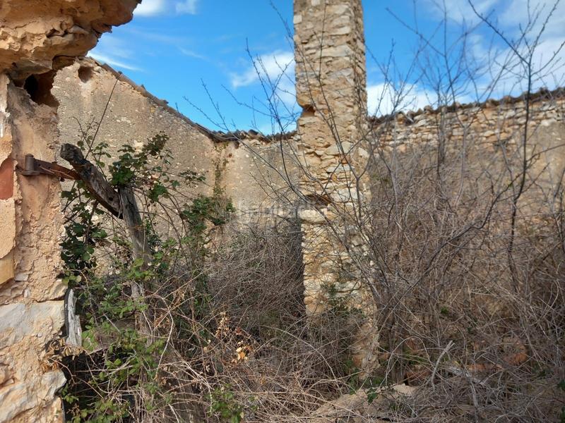 Foto b1e9b381-2991-4f16-b1bb-08a74942c5a8. Finca rústica a plaça dels arbres 10 a Vila-rodona