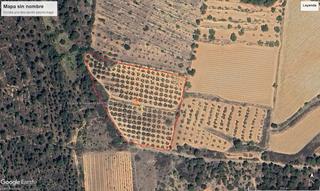 Rural plot in Montferri. Se vende finca plantada de olivos