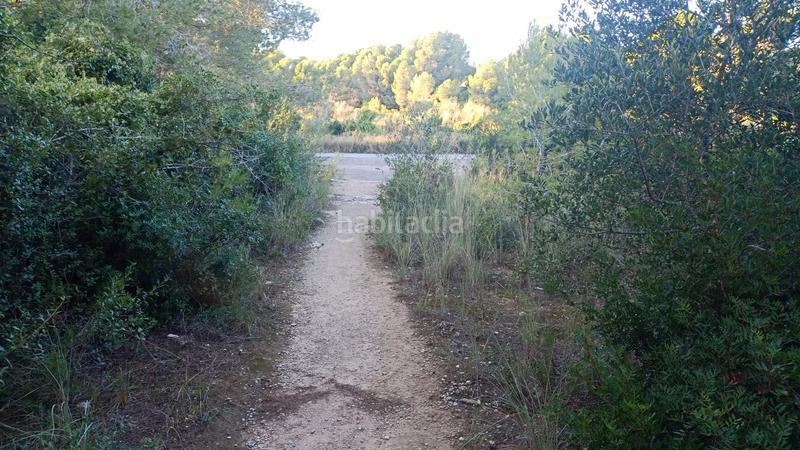 Foto 0d8ca967-aad1-4d9b-8b84-e5b9c8692c7b. Finca rústica a plaça sector 43 21 a Coma-ruga platja Coma-ruga