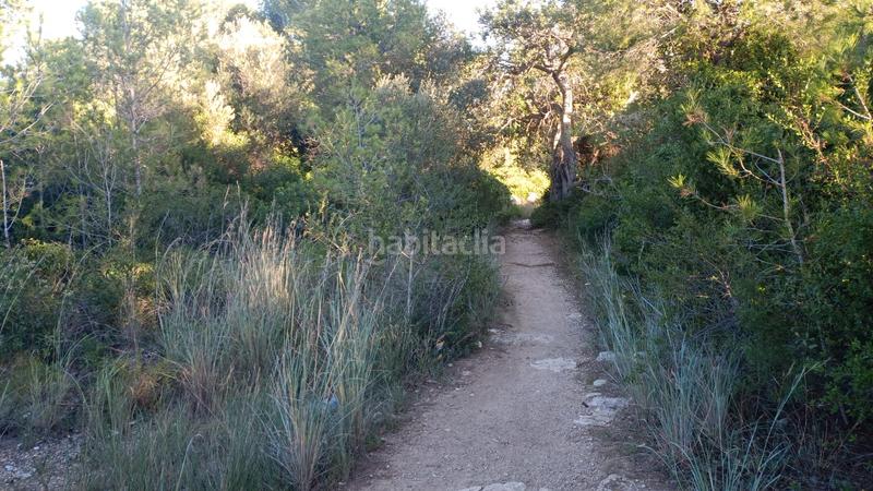 Foto 2551efb2-b606-4967-851d-6685e3ae12c8. Finca rústica a plaça sector 43 21 a Coma-ruga platja Coma-ruga