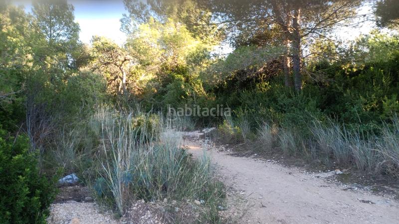 Foto 34df4499-c6b5-47a7-832a-30417b72fba6. Finca rústica a plaça sector 43 21 a Coma-ruga platja Coma-ruga