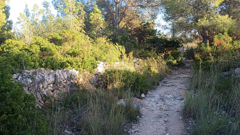 Foto 46dabfa0-7851-42d1-ad7f-307b459d00b9. Finca rústica a plaça sector 43 21 a Coma-ruga platja Coma-ruga