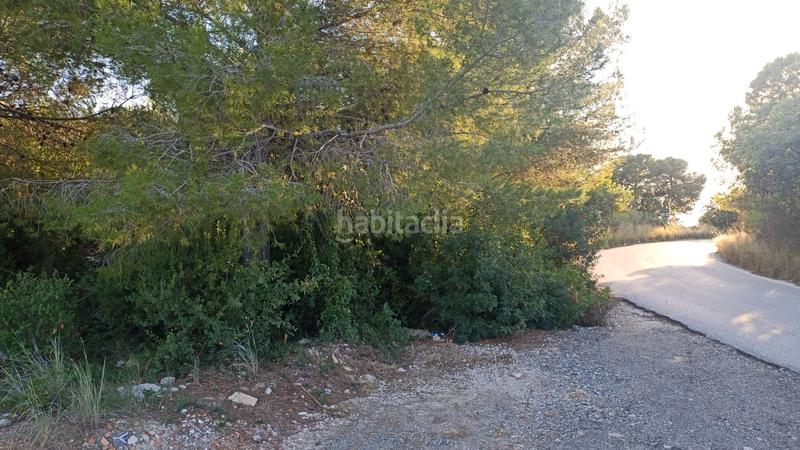 Foto 699a82eb-490a-4b6a-8c85-33b67c319759. Finca rústica a plaça sector 43 21 a Coma-ruga platja Coma-ruga