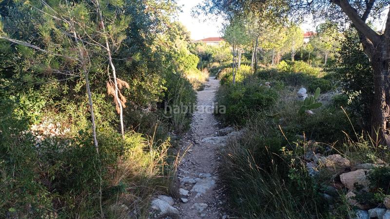 Foto a0c4a82f-b3c6-4043-a7ed-3a79dcb5dbf2. Finca rústica a plaça sector 43 21 a Coma-ruga platja Coma-ruga