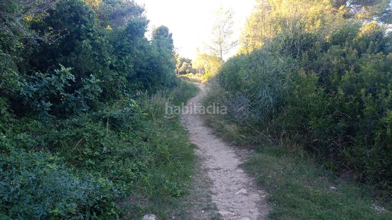 Foto cb579651-47c0-4999-904b-194d9e8c6e1b. Finca rústica a plaça sector 43 21 a Coma-ruga platja Coma-ruga