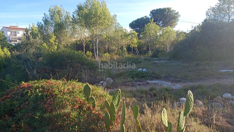 Foto d2db4834-83a8-44c0-881f-334fd0f53228. Finca rústica a plaça sector 43 21 a Coma-ruga platja Coma-ruga