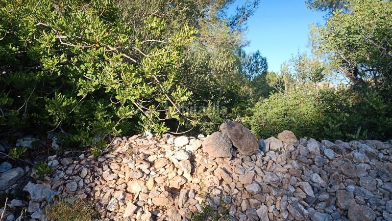 Foto d45f974a-10a9-4fd2-9b8c-75766b048c93. Finca rústica a plaça sector 43 21 a Coma-ruga platja Coma-ruga