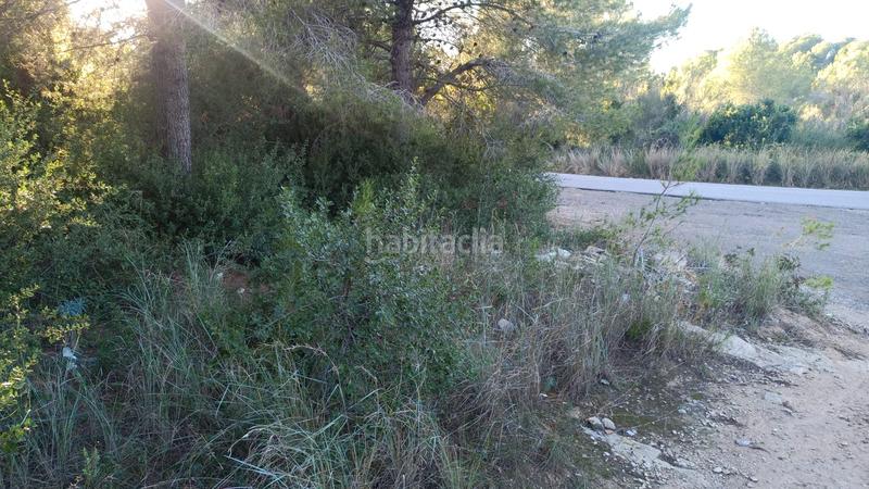 Foto ef67f911-2b41-4054-ad54-16c59ffed8ec. Finca rústica a plaça sector 43 21 a Coma-ruga platja Coma-ruga