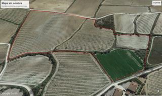 Finca rústica a Barri masets cosins 22. Se venden 4 ha de viña en plena produccion