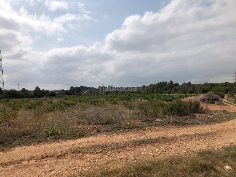 Foto 2cf11b26-fac0-49a5-8473-1fe0e96770dd. Rural plot in n/a in Vila-rodona