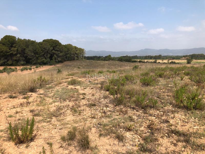 Foto 3d300276-0e0f-446d-8a50-cef490f5989a. Rural plot in n/a in Vila-rodona