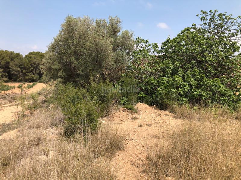 Foto 46c75f5c-0b81-44de-8e72-04501e8c649e. Rural plot in n/a in Vila-rodona