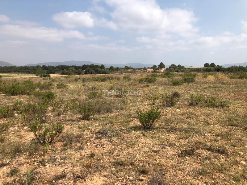 Foto 542b1c70-ded0-4a6d-ae65-87ceb37defdd. Rural plot in n/a in Vila-rodona