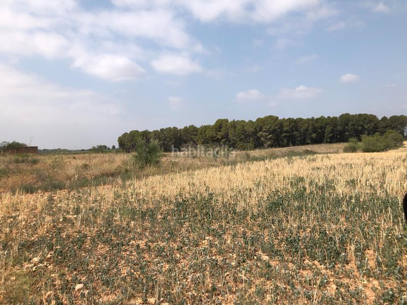 Foto 5ce2374e-0b26-4b2f-8d87-de607db4401a. Rural plot in n/a in Vila-rodona