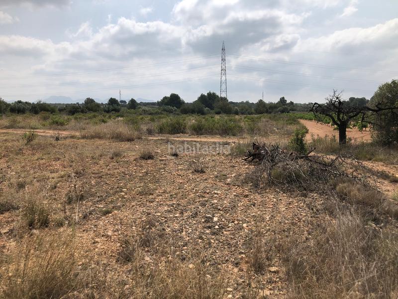 Foto 6c75d919-eb7c-4910-9e82-70325ab1a01e. Rural plot in n/a in Vila-rodona