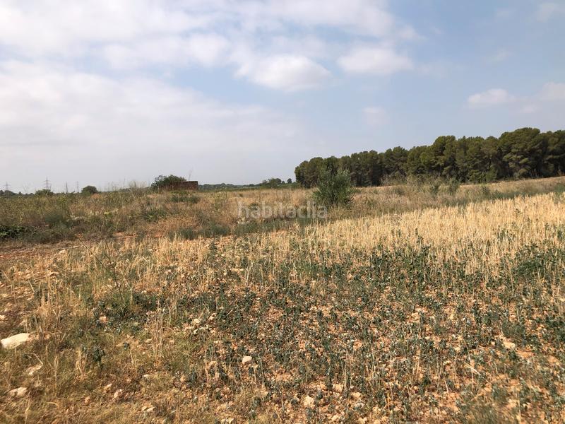 Foto 85326de2-f983-40a4-b72e-57091a9b5295. Rural plot in n/a in Vila-rodona