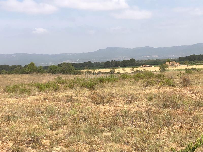 Foto 865facbb-324a-4c20-a274-db5982d4f21e. Rural plot in n/a in Vila-rodona