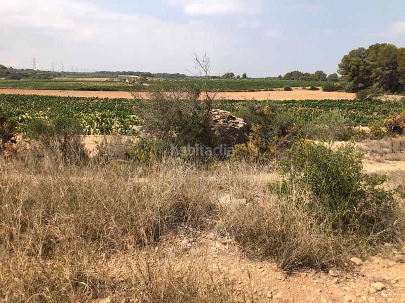 Foto 8a76d910-e3f0-4425-86af-57af0f79efc2. Rural plot in n/a in Vila-rodona