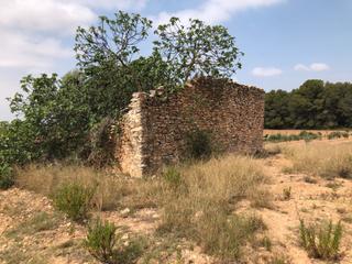 Finca rústica a N/a. En venta finca de 3 ha en vilarrodona -tarragona-