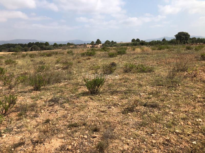 Foto aca98d76-7ace-494c-ae53-92e1f2de05fa. Rural plot in n/a in Vila-rodona