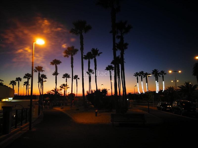 Foto a65dae11-4a55-4df5-ad55-8b2648f2a021. Miete reihenhaus in Palm - Mar Arona