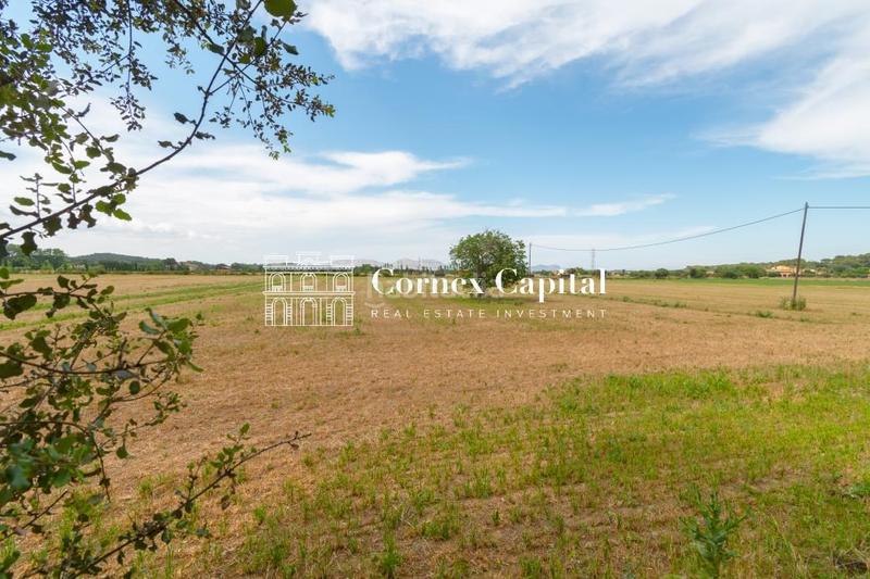 Foto 7073248a-96fa-40d8-93bf-726fb466e3b8. Masia amb aparcament a Forallac