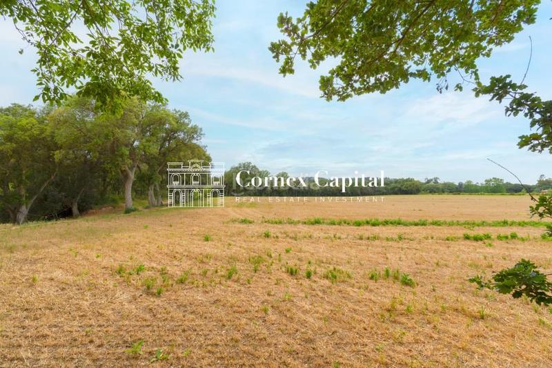 Foto 805b55ed-ecdc-41e4-99ff-e1810938d6be. Masia amb aparcament a Forallac