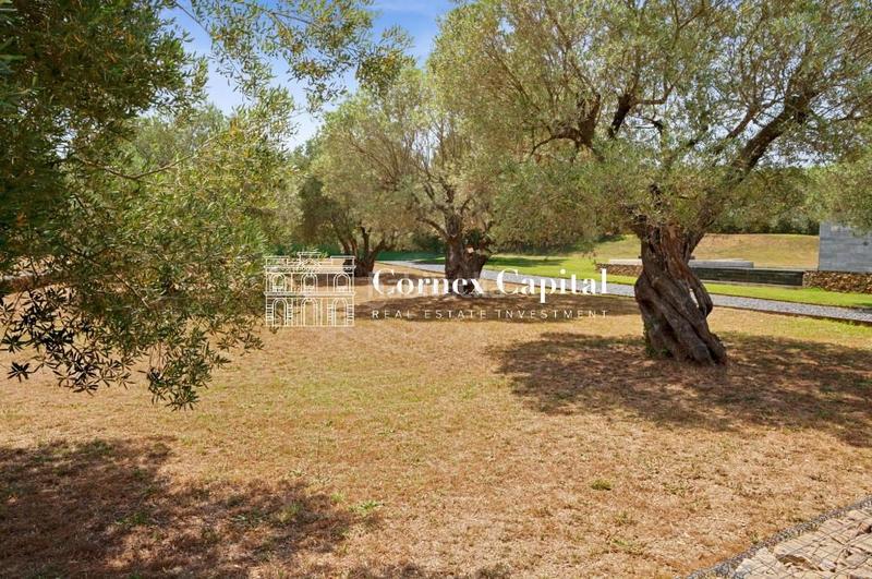 Foto 5954d1d5-72ce-44db-b0c6-8ad871270794. Casa amb calefacció aparcament piscina a Forallac