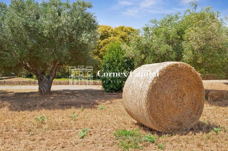 Foto 70dd0e47-254c-4e88-b873-3e3eb3e860f3. Casa amb calefacció aparcament piscina a Forallac