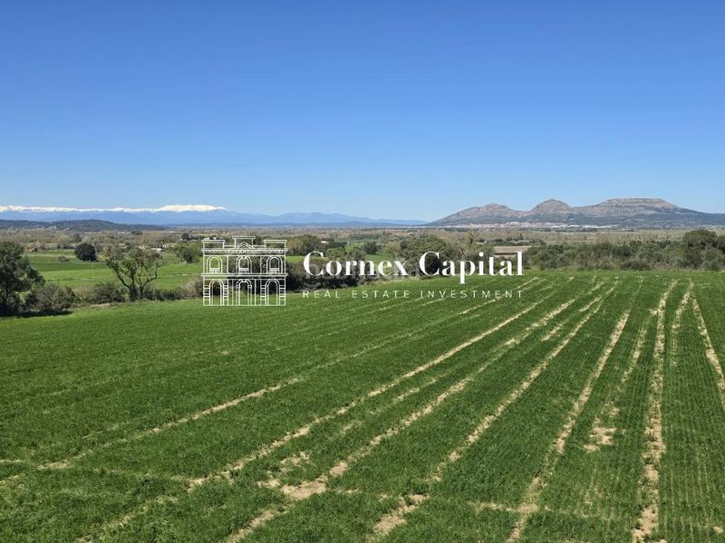 Foto 9974c054-30b2-4b33-97f6-61fc83133d45. Casa adossada 204m<sup>2</sup> amb aparcament piscina a Pals