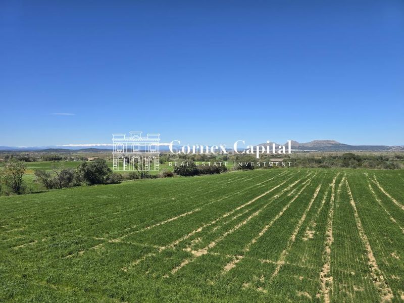 Foto ad622616-b067-4a5d-a22e-99a59db282ed. Casa adossada 204m<sup>2</sup> amb aparcament piscina a Pals