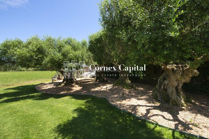 Foto 13977c56-e78d-4efb-9029-575e257776ff. Masia amb calefacció aparcament piscina a Parlavà