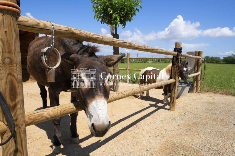 Foto 3b1da1ce-2bd7-41e9-8e40-44516760f02f. Masia amb calefacció aparcament piscina a Parlavà