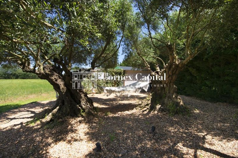 Foto 97ceace4-741e-41e6-8d46-408133791bdc. Masia amb calefacció aparcament piscina a Parlavà