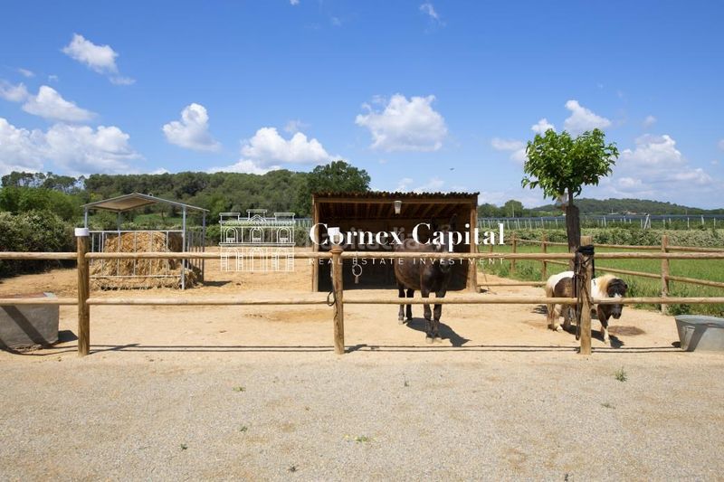 Foto e5a8b19a-6e44-47f1-acd1-c0f5a71fac5f. Masia amb calefacció aparcament piscina a Parlavà