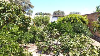 Terreno residencial en Gerena. Solar de 300m2 en la localidad de gerena, sevilla.
