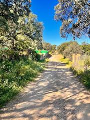 Rural plot in Castilblanco de los Arroyos. Venta de terreno en la urbanizacion las minas, castiblanco de lo