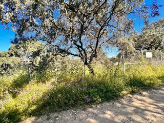 Finca rústica a Castilblanco de los Arroyos. Venta de terreno en la urbanizacion las minas, castiblanco de lo