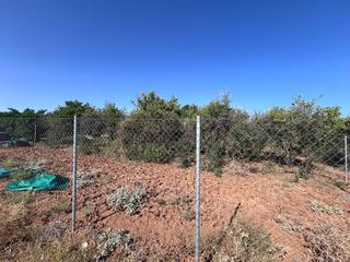 Finca rústica en Guillena pueblo. Venta de terreno en los rubilaes, guillena.