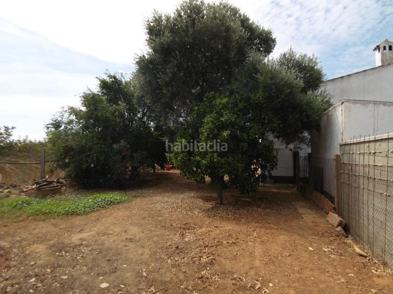 Foto 3d4f2efe-86fd-4534-a4c9-7af79c39be4a. Casa  de campo en gibraleon en Gibraleón