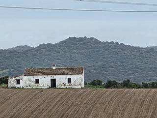 Finca rústica a Burguillos. Terreno en la viña