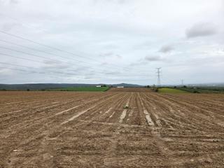 Finca rústica en Burguillos. Terreno en la viña