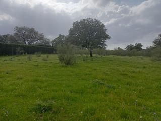 Terreny residencial a Castilblanco de los Arroyos. Magnífica parcela urbana en la urb. sierra norte  castilblanco d