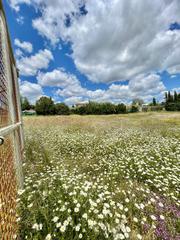 Terreny residencial a Castilblanco de los Arroyos. Gran oportunidad! venta de parcela rústica en castiblanco de los